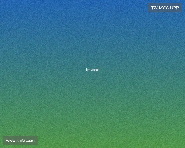 bmw电竞座椅 bmw电竞座椅